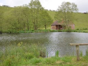 Dorset Holiday Log Cabin Dorchester