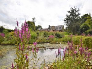 Large Country Holiday House Dorset