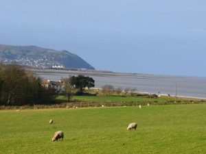 Sea View Holiday Homes Minehead