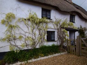 Thatched Holiday Cottage Salcombe Devon