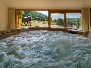Forest of Dean Luxury Hot Tub Lodge